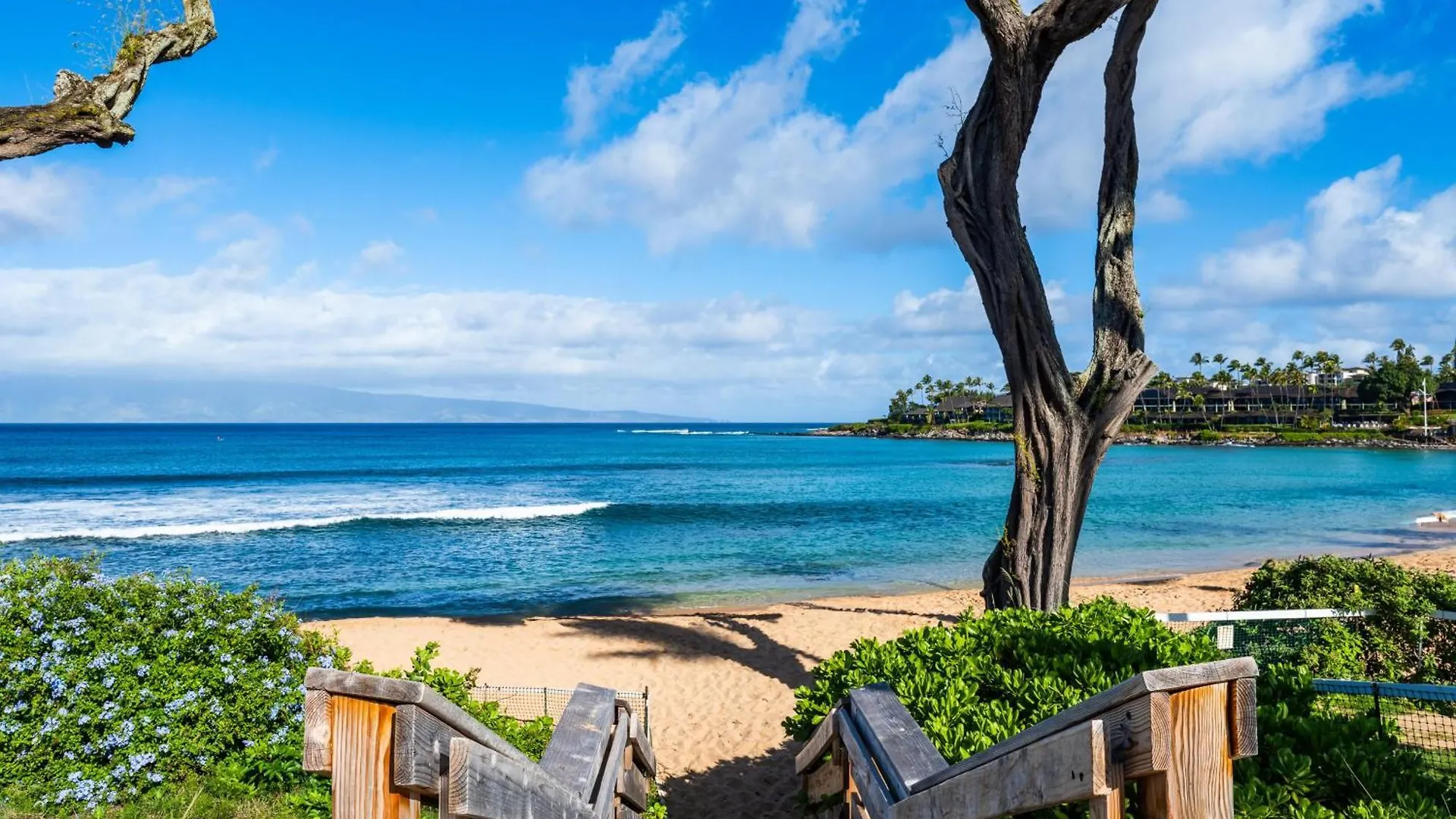 卡哈纳Napili Surf 209别墅 度假居
